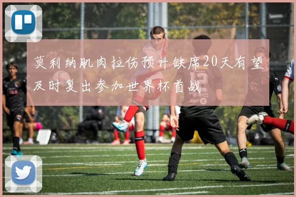 莫利纳肌肉拉伤预计缺席20天有望及时复出参加世界杯首战